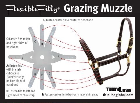 Muzzle instructions graphic snip