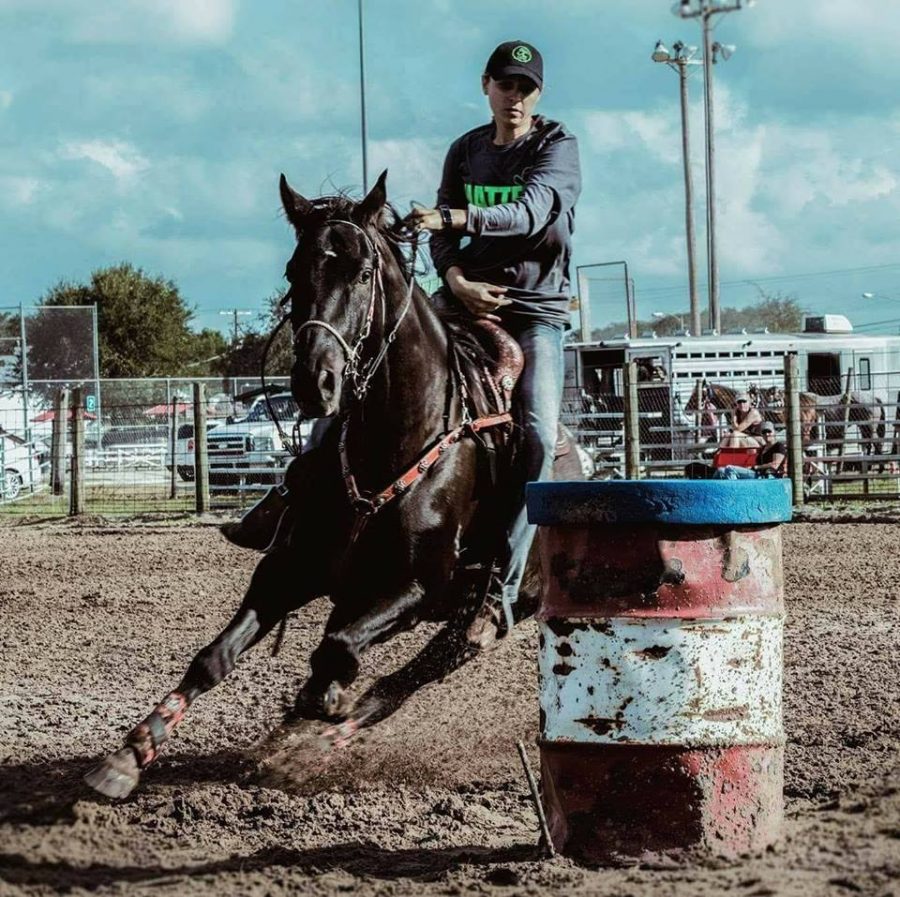 Braided Trail Reins - ThinLine Australia